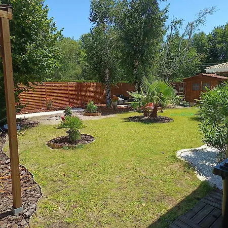 Manon ביגאנוס